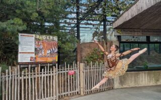Wildly Creative: Arts with the Animals