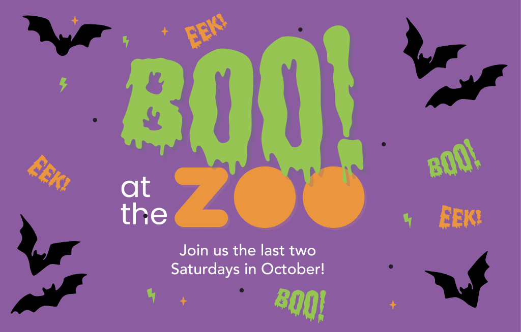 Boo At The Zoo