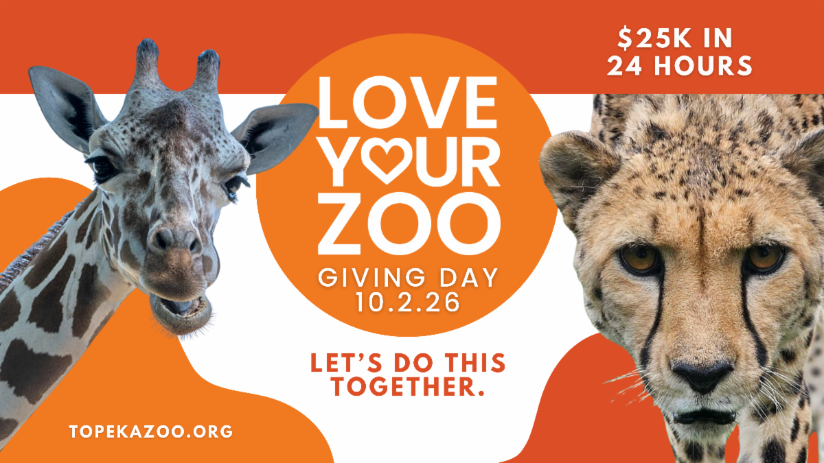 Love Your Zoo